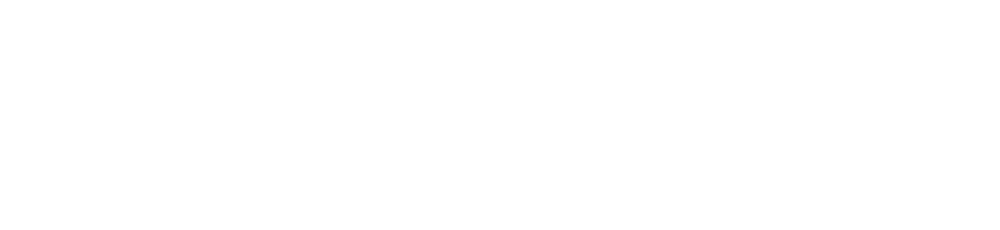 Mercury Wordmark